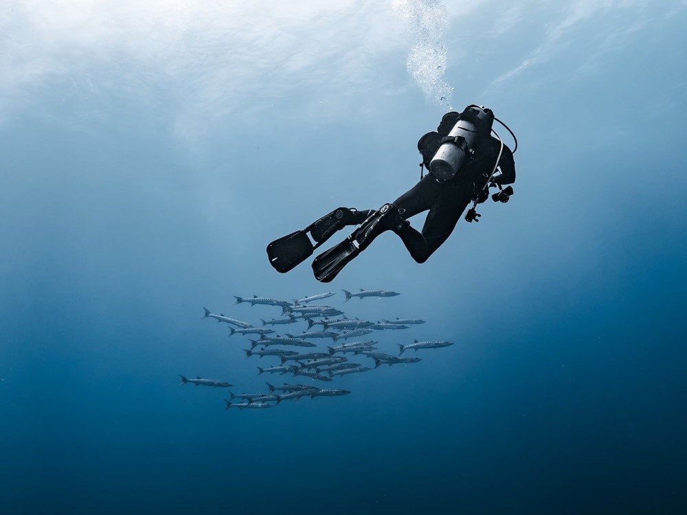 2 Tank Night Manta Dive Charter