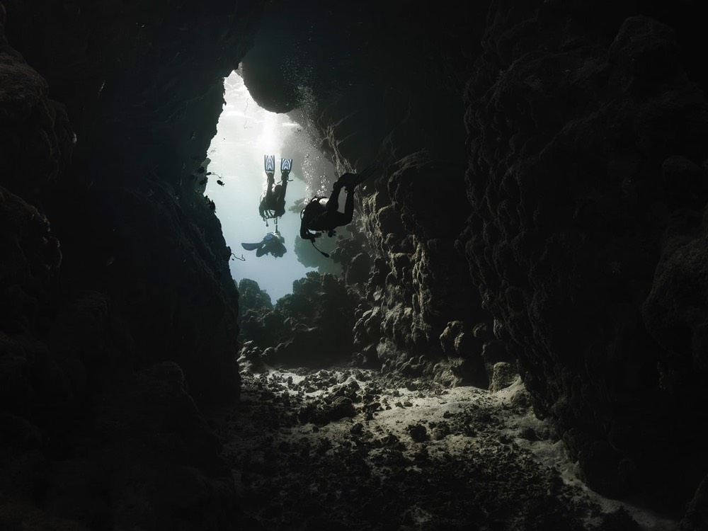 Black Water Night Dive