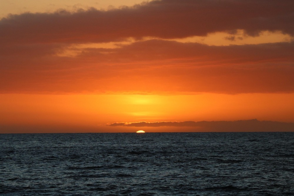 From Ma'alaea Harbor: Maui Whale Watch Cruise