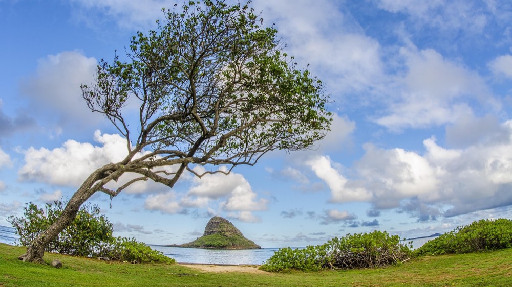 CIRCLE ISLAND JEEP TOUR