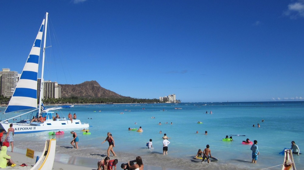 Premium Waikiki Turtle Snorkel Sail with Lunch