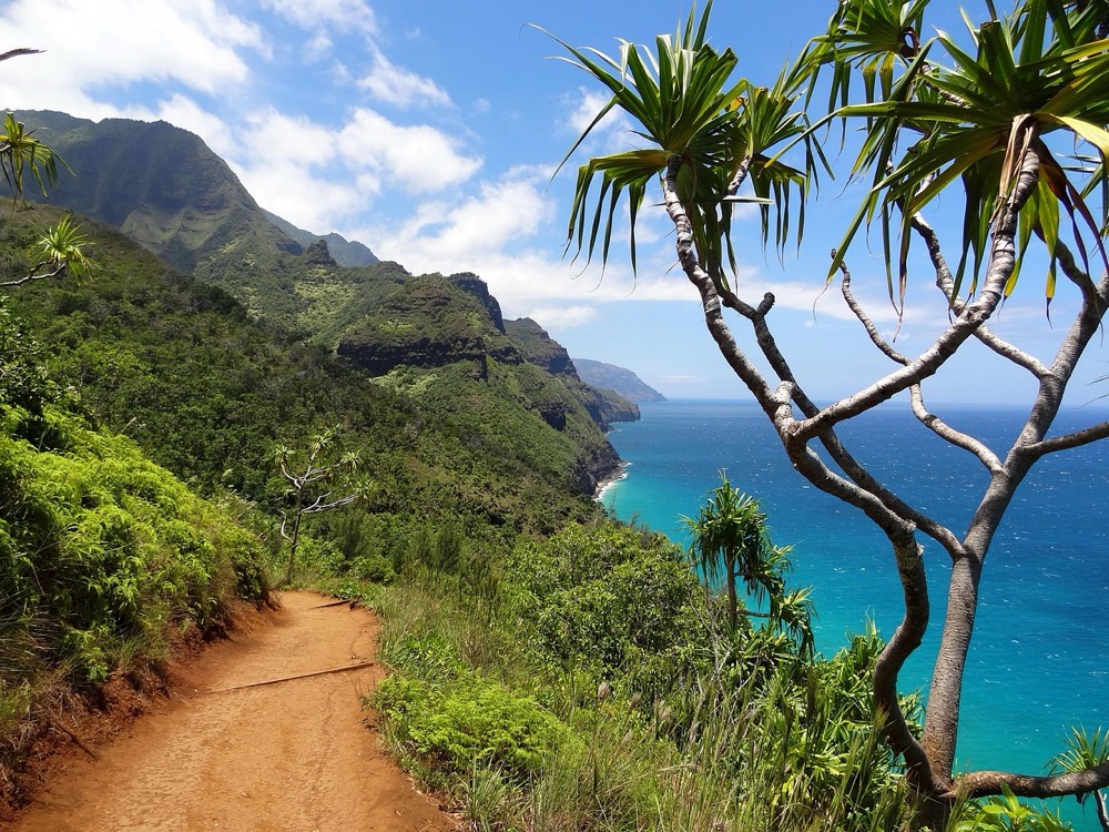 Kipu Falls and Treehouse Hike