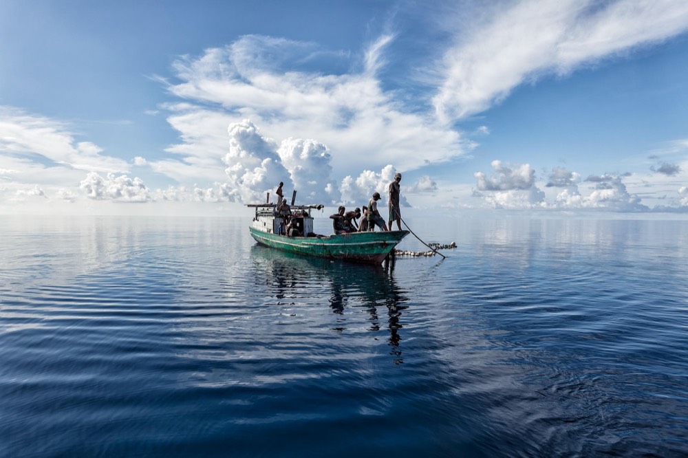 Wildlife in Depth - Sea'fari Style