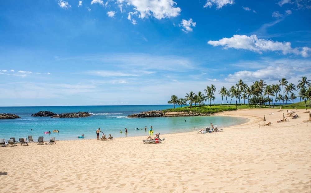 「One-Way Transfer」Honolulu Harbor ⮕ Airport or Waikiki Hotels