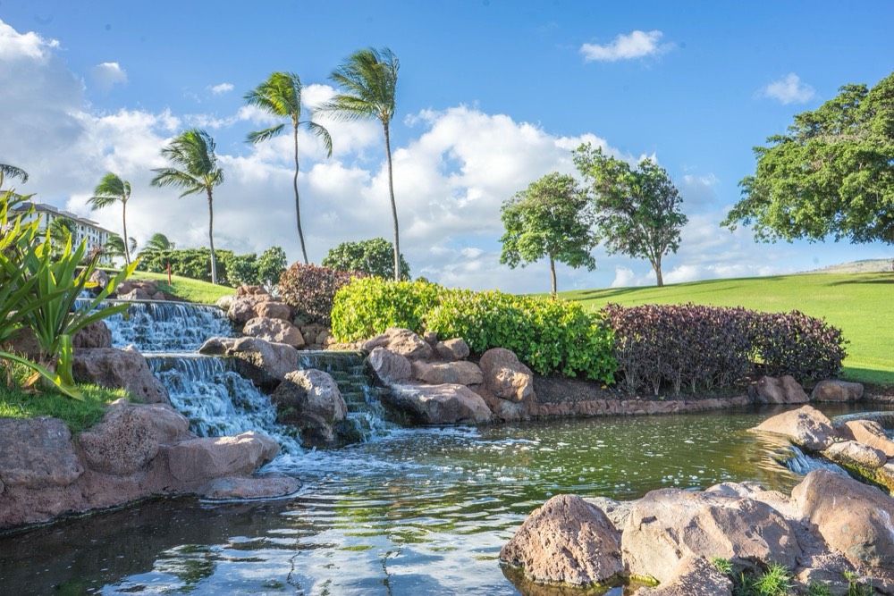 「One-Way Transfer」Oahu Hotels  ⮕ Kualoa Ranch